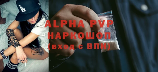гашик Костерёво