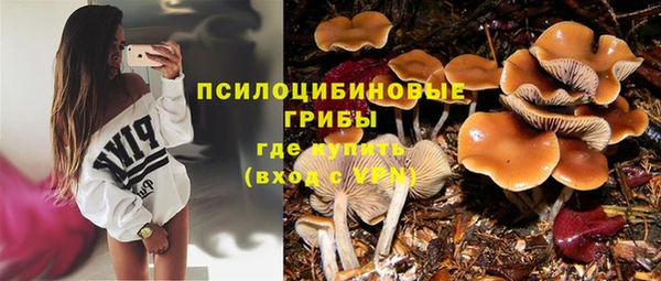 гашик Костерёво